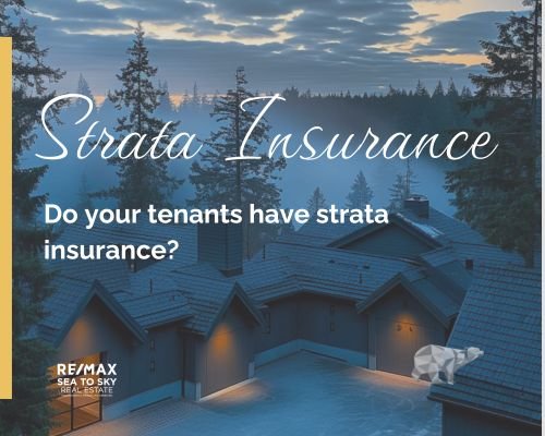Strata Insurance Image
